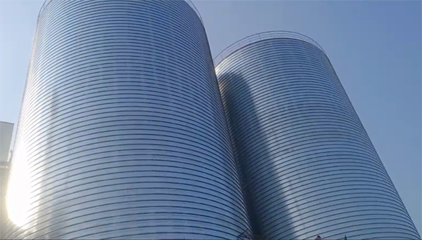 杂多2座混凝土高架卷板仓